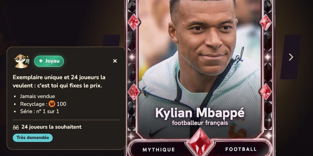 Capture : Le détail d'une carte